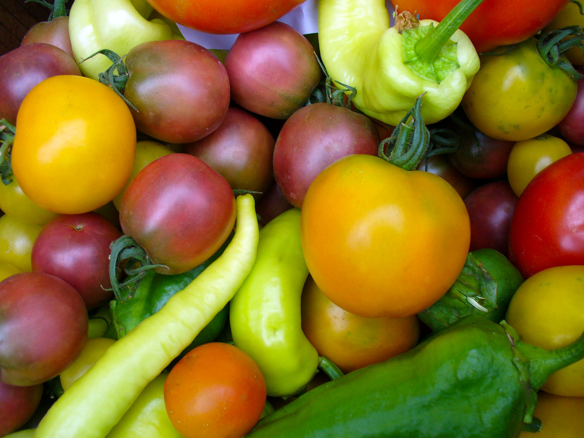 Peppers and tomatoes by Susan Fluegel